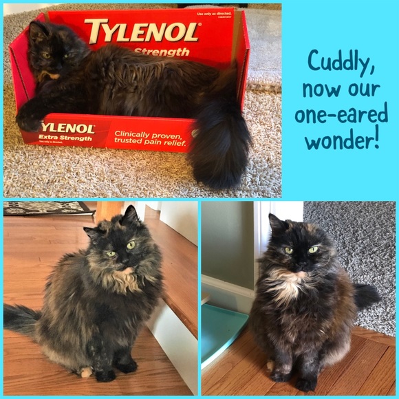 Meet your Posher, Lynette - Picture 2 of 8